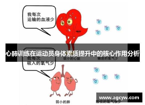 心肺训练在运动员身体素质提升中的核心作用分析